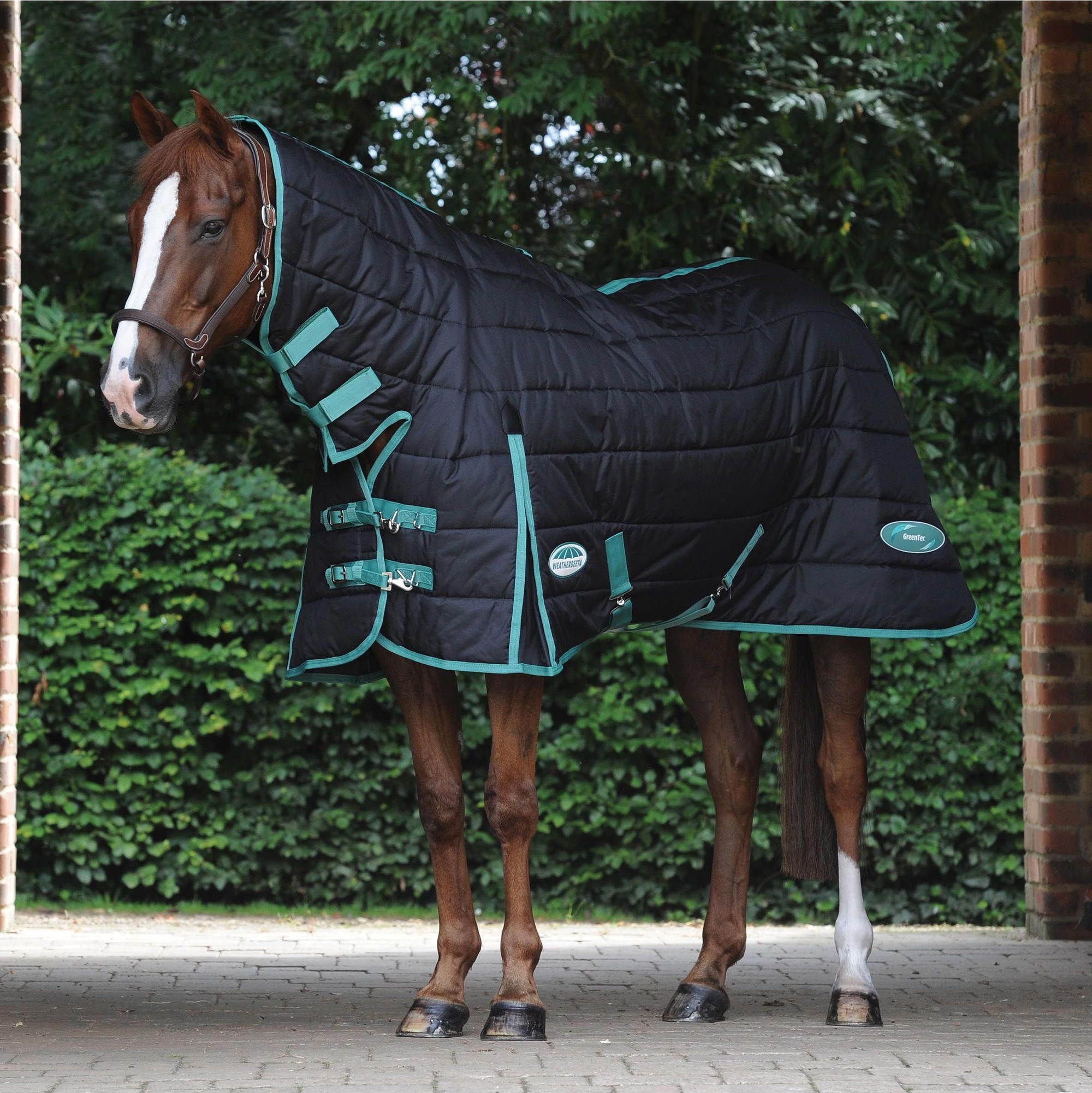 Weatherbeeta Green-Tec Medium-Lite Combo Neck Rug - Black / Green
